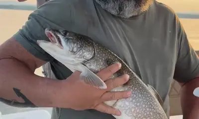 Fish love.