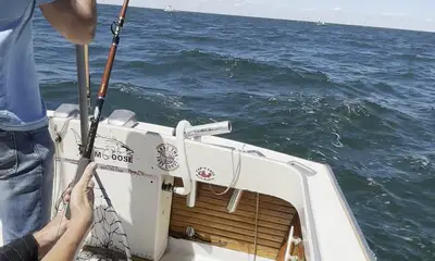 Eastham Report Video 0