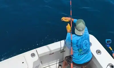 Faro District Report Video 1