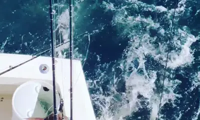 Montauk Report Video 0