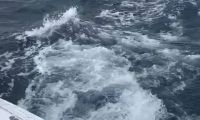 Carolina Beach Report Video 2