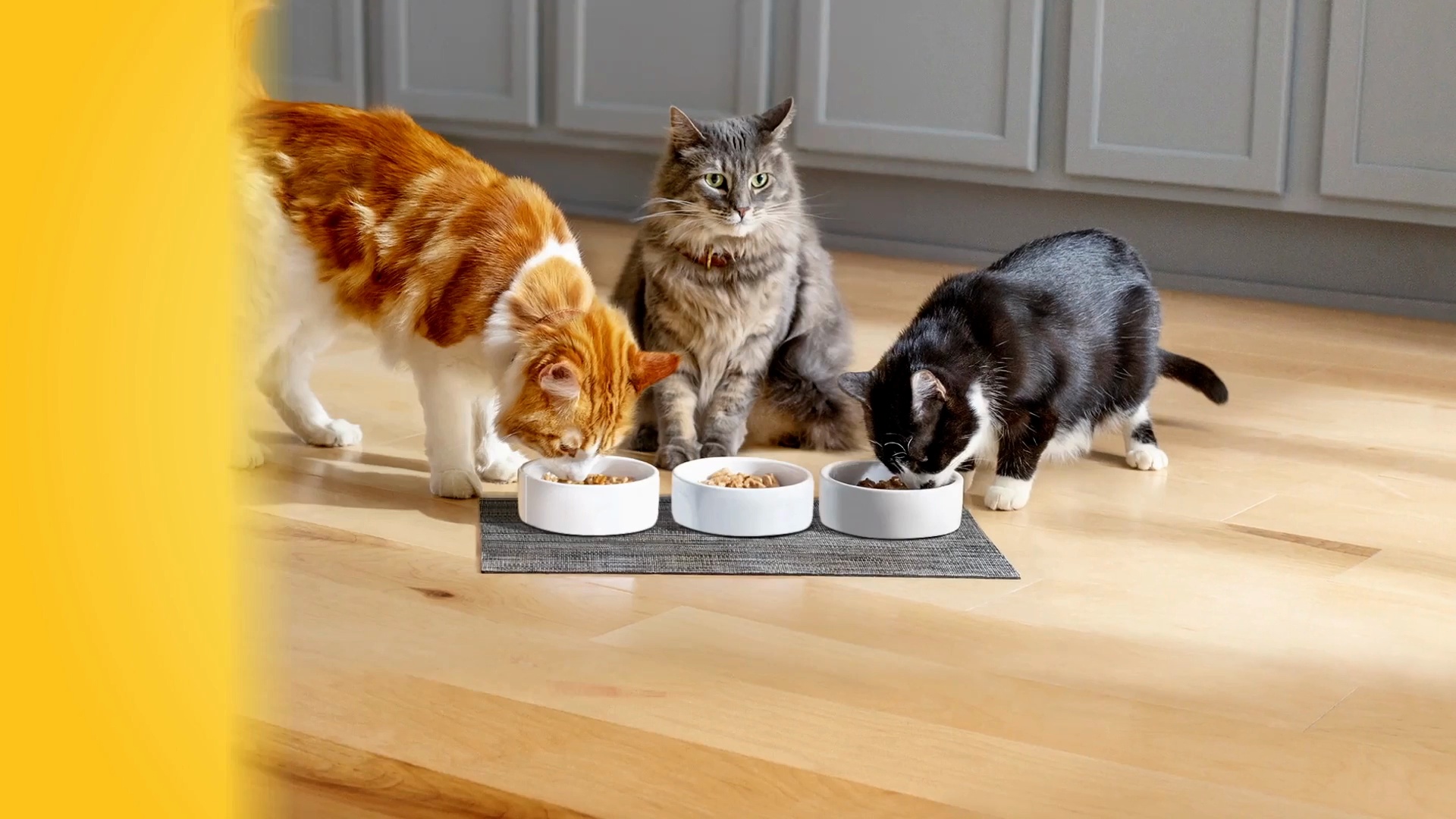 MEOW MIX Irresistibles Soft Salmon Cat Treats, 6-oz bundle - Chewy.com