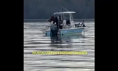Cumming Report Video 0