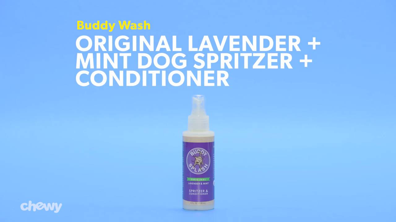 BUDDY WASH Splash Lavender Mint Dog Spritzer Conditioner 16