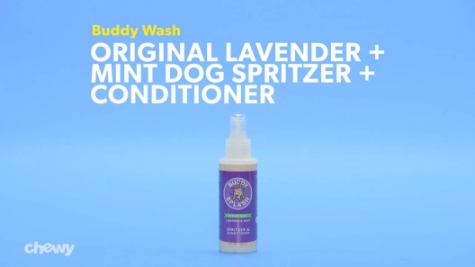 Play Video: Learn More About Buddy Wash From Our Team of Experts