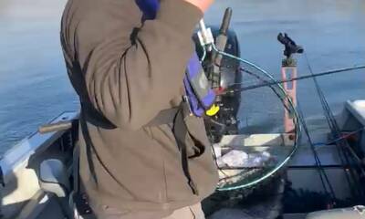 Willamette Valley Report Video 1