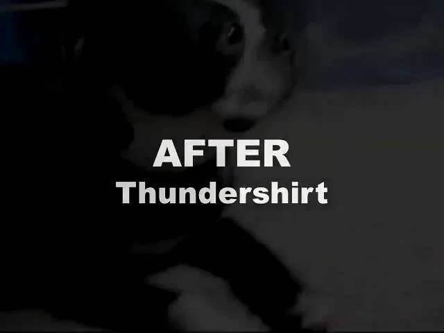 THUNDERWORKS ThunderShirt Sport, chandail pour calmer l'anxiété
