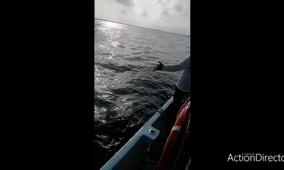 Cozumel Report Video 0