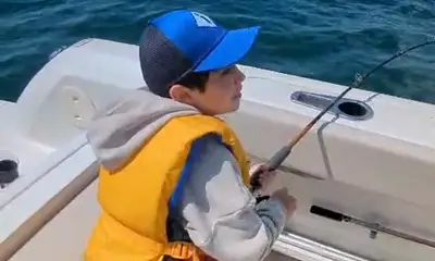 Sharks, Dolphins, and an Unforgettable Day on the Water