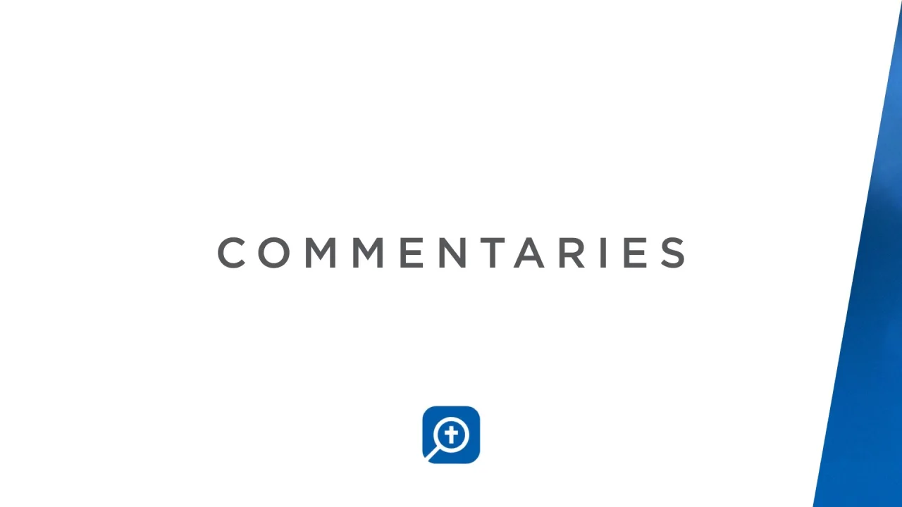 Commentaries PDP