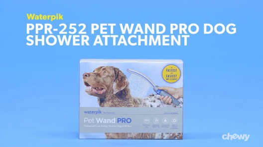 Play Video: Learn More About Waterpik From Our Team of Experts