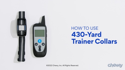 Play Video: Learn More About Trainer Dog Collar From Our Team of Experts