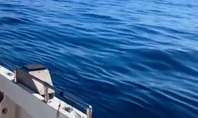 San Jose del Cabo Report Video 0