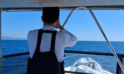 Dana Point Report Video 0