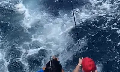 Boynton Beach Report Video 0
