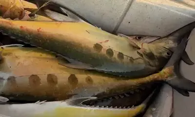 October fishing trip