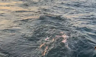 Erie Report Video 0