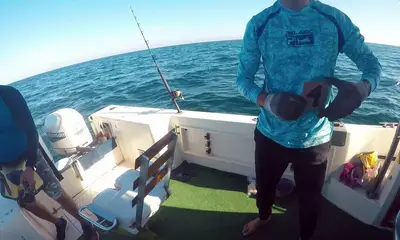 Manzanillo Report Video 0