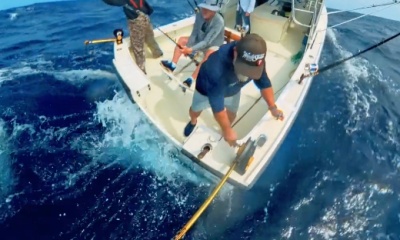Sandys Report Video 2