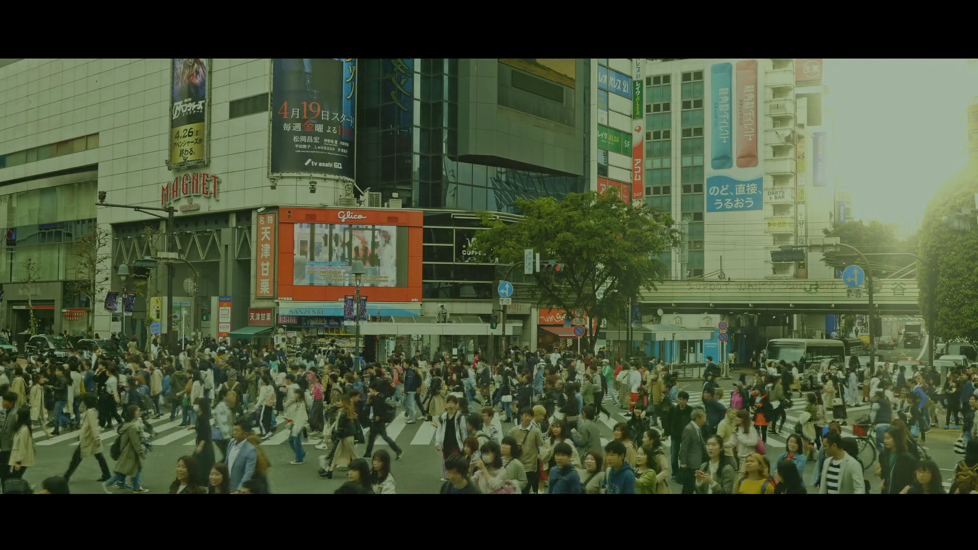 鑑定書付】 ARS10+ カオス 大胆不敵 鳶沢みさき 【公式通販】