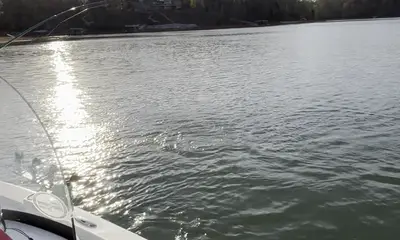 Townville Verslag Video 0