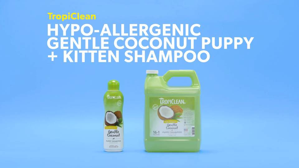 Gentle coconut puppy outlet shampoo