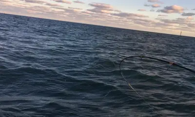 Miami Report Video 0