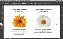 A diferença entre Imagem Vinculada e Imagem Incorporada no Illustrator