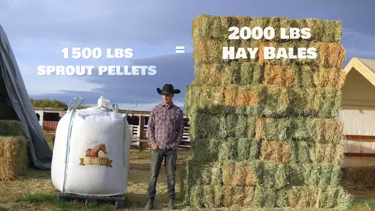 Medalist Alfalfa Pellets Complete Horse Feed, 50-lb bag