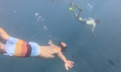 Amazing time snorkeling with Turtles! 
