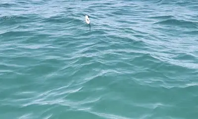St. Petersburg Видео отчет 1