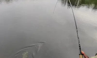 Atlanta Report Video 2