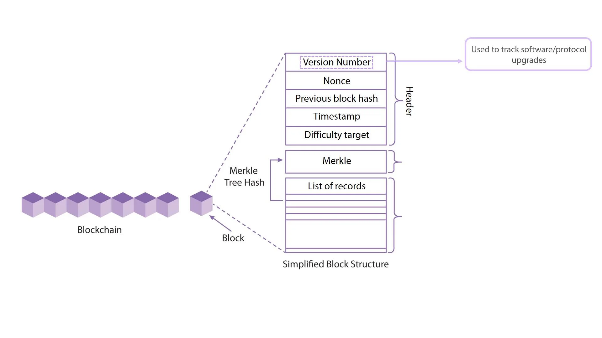 A brief about blocks and nodes
