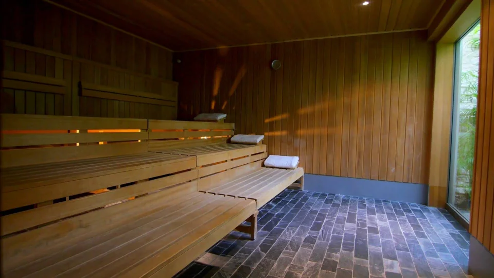 How a Sauna Could Help You Detoxify From Mould - Part 1