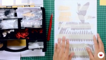Lesson image