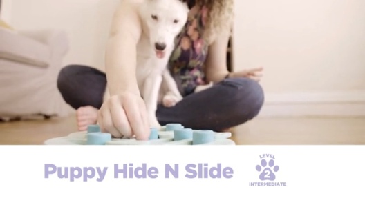 Nina Ottosson Puppy Hide N' Slide Interactive Treat Puzzle Dog Toy