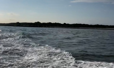 Fish on!