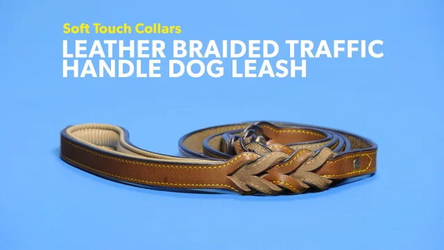 soft touch leather padded dog collar