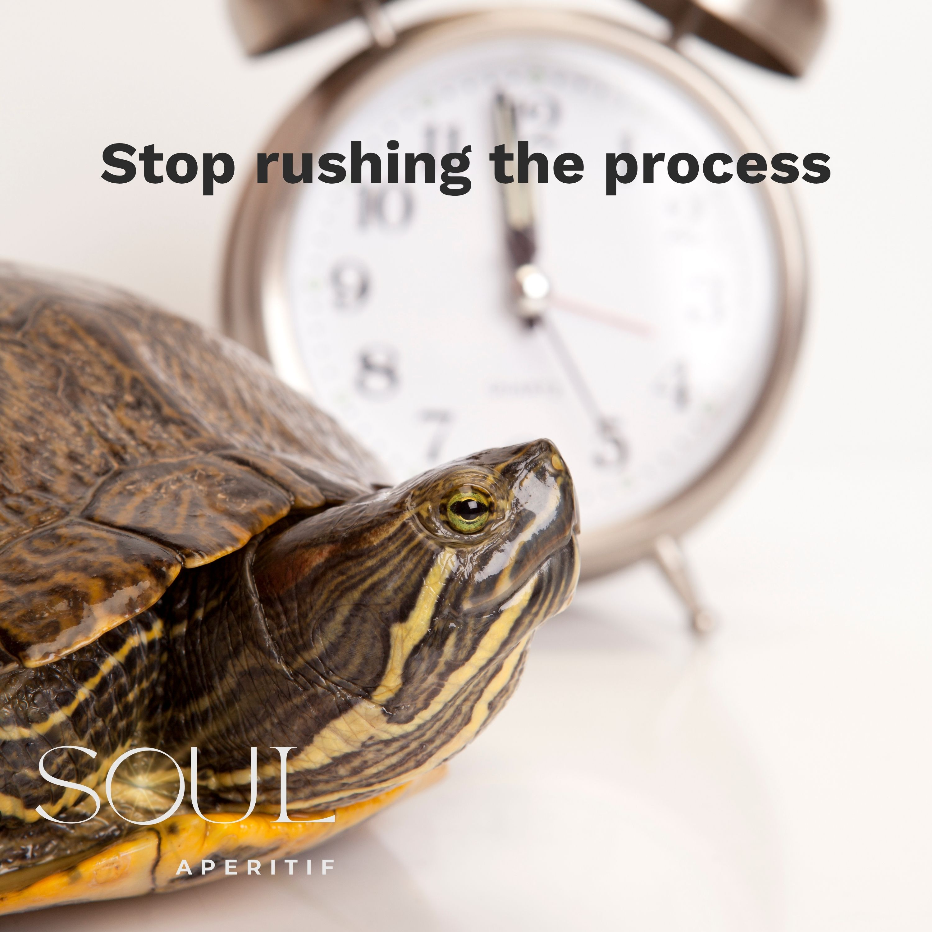 EP 77 - Stop rushing the process episode artwork