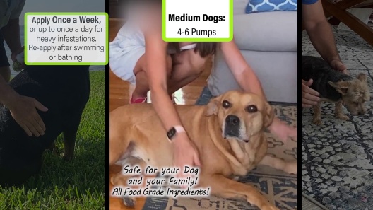 Play Video: Learn More About Liquid-Vet From Our Team of Experts