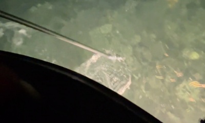 Key Biscayne Report Video 2