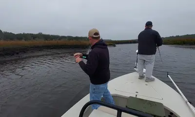 Jacksonville Report Video 0