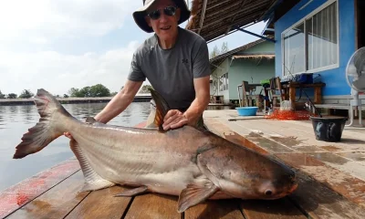Bangkok Report Video 1
