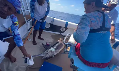 Ocho Rios Report Video 1