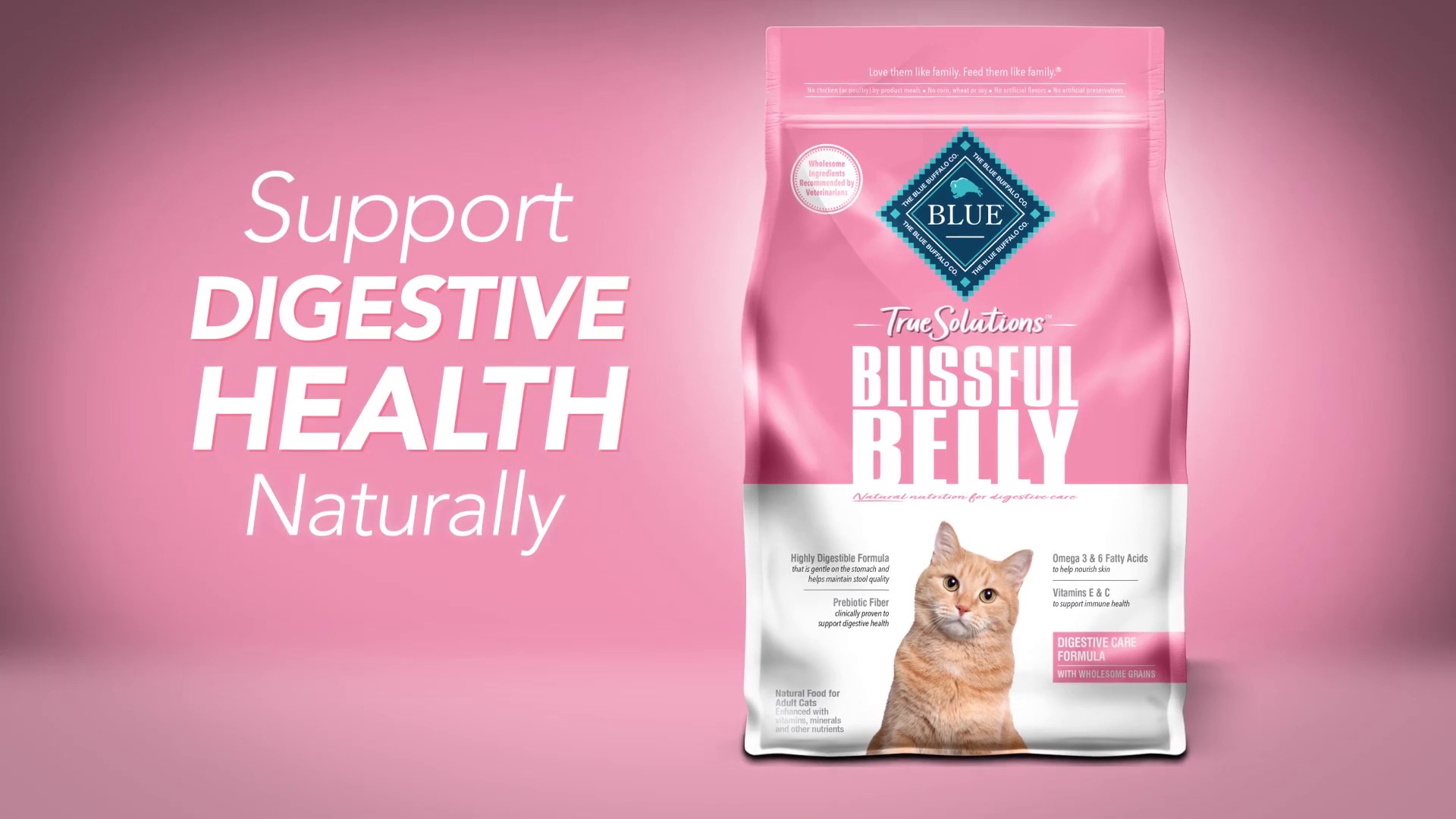 BLUE BUFFALO True Solutions Blissful Belly Digestive Care Formula