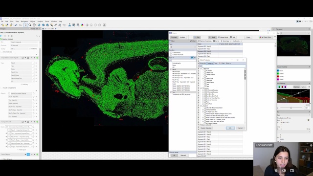 Tutorial: Tau Detection using arivis Pro