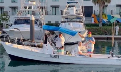 San Jose del Cabo Report Video 0