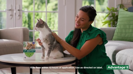 Advantage II Flea Spot Treatment for Cats, over 9 lbs