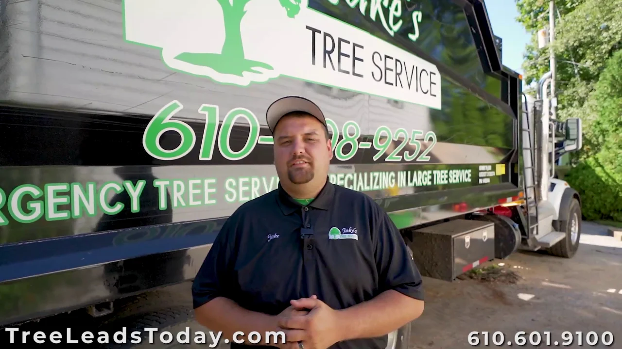 Tree Lead Solutions