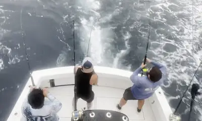 Fort Lauderdale Report Video 0